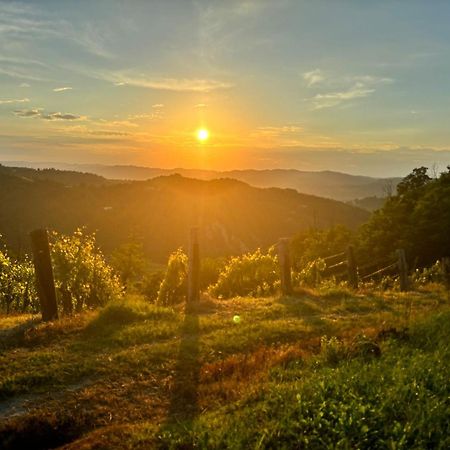 1929 Wine Food Relax Agriturismo Аккуї-Терме Екстер'єр фото