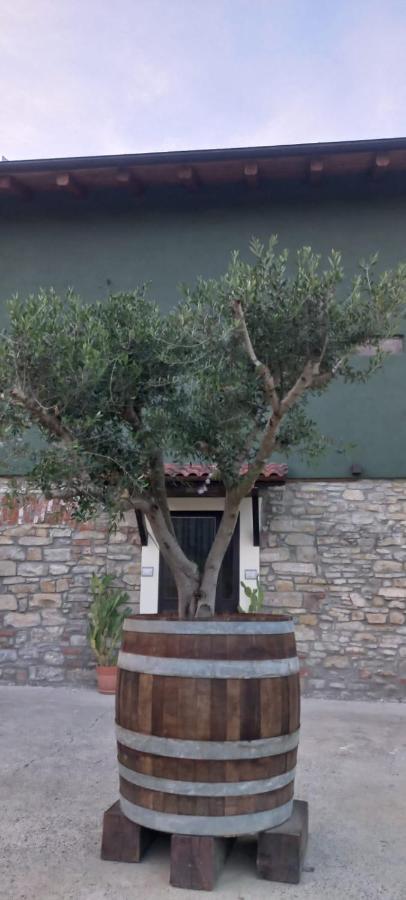 1929 Wine Food Relax Agriturismo Аккуї-Терме Екстер'єр фото