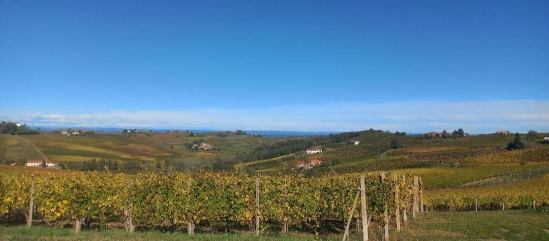 1929 Wine Food Relax Agriturismo Аккуї-Терме Екстер'єр фото