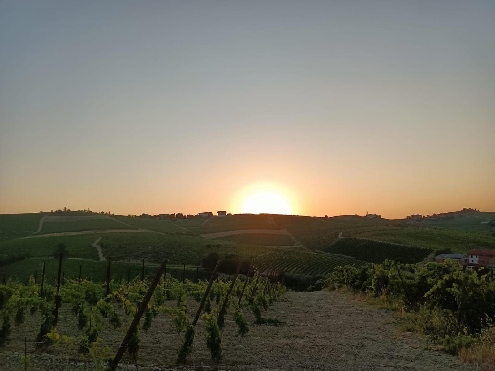 1929 Wine Food Relax Agriturismo Аккуї-Терме Екстер'єр фото